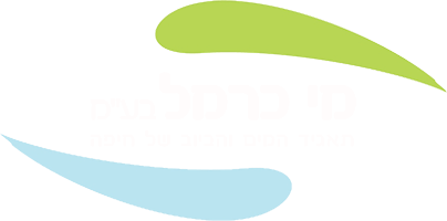 mei-carmel-logo